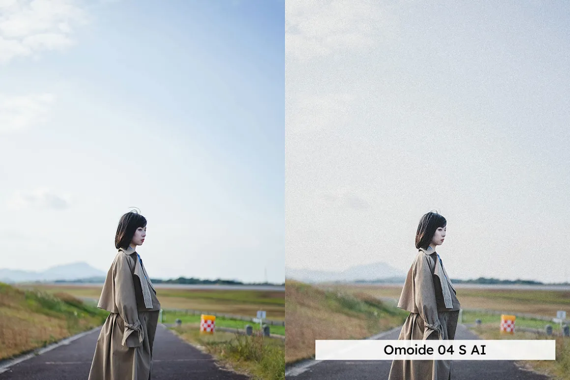 20 Analog Japan Lightroom Presets