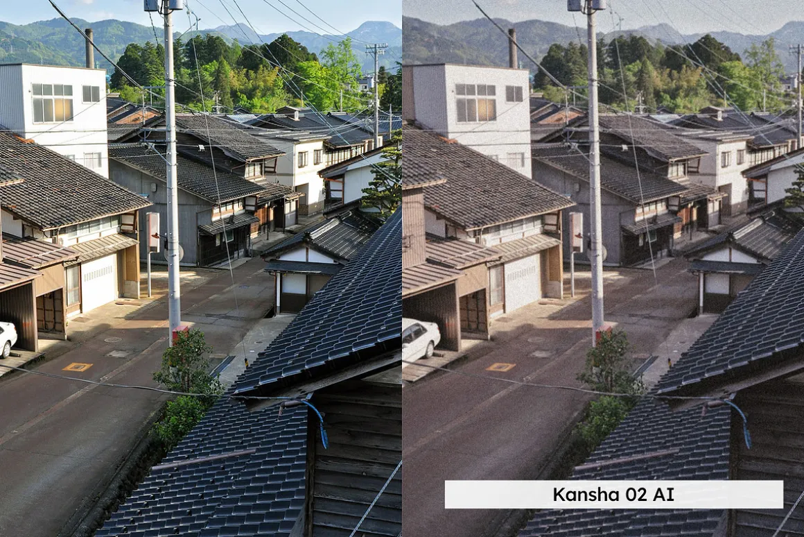 20 Analog Japan Lightroom Presets