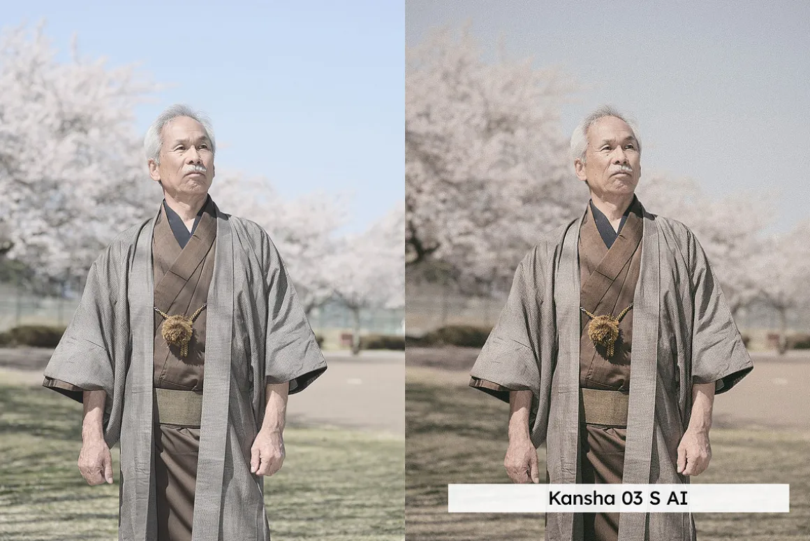 20 Analog Japan Lightroom Presets