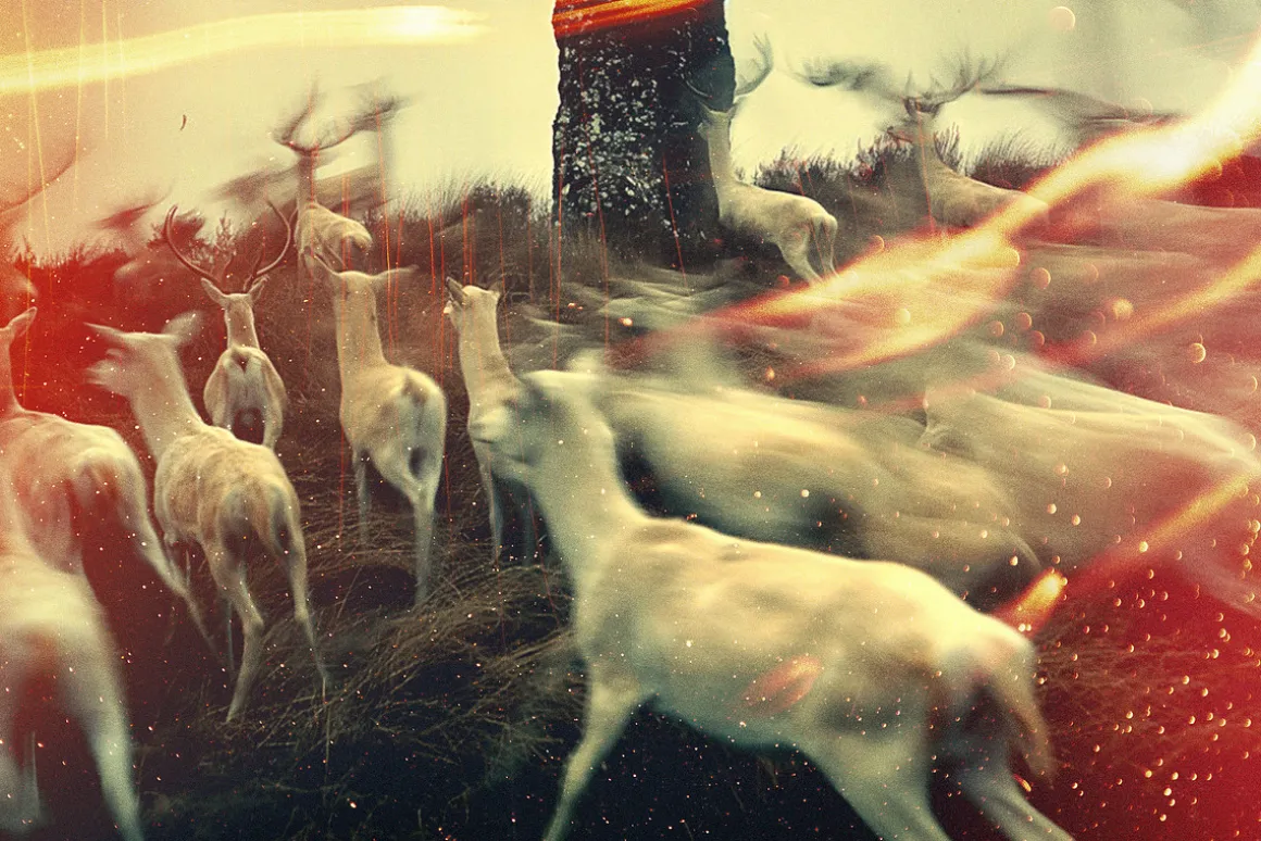 Analog Light Leaks Overlays