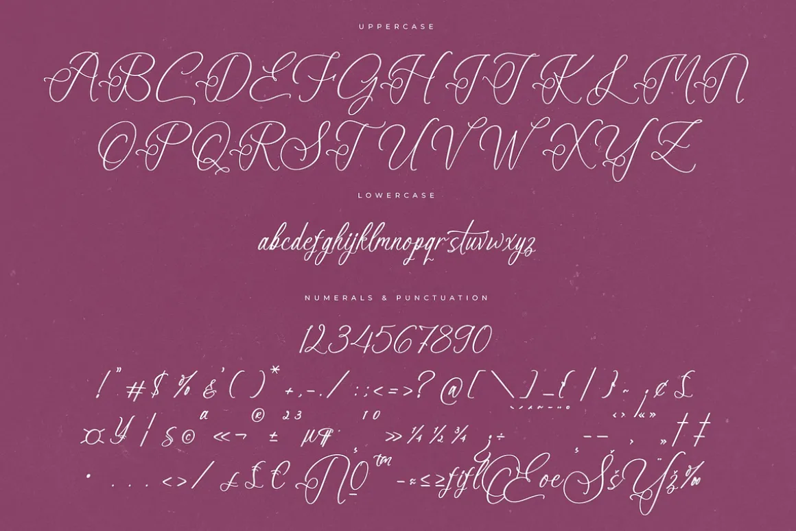 Anastasia Boutiques Beauty Script