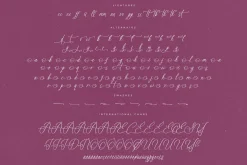 Anastasia Boutiques Beauty Script