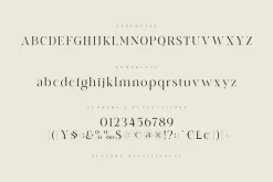 angle - unique & chic font