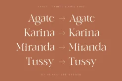 angle - unique & chic font