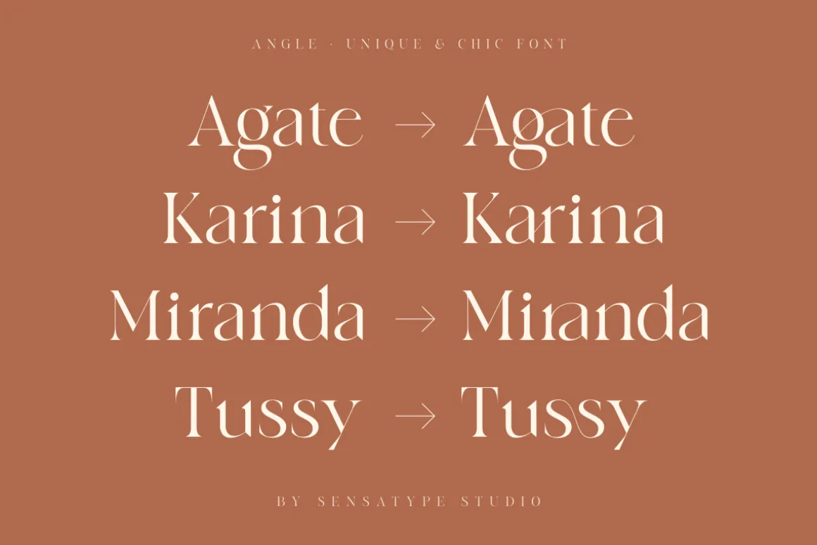 angle - unique & chic font