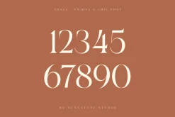 angle - unique & chic font
