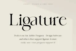 angle - unique & chic font