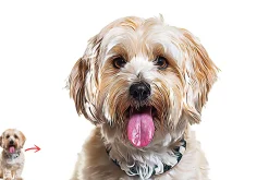 Animal Oil Paint Photoshop Actions