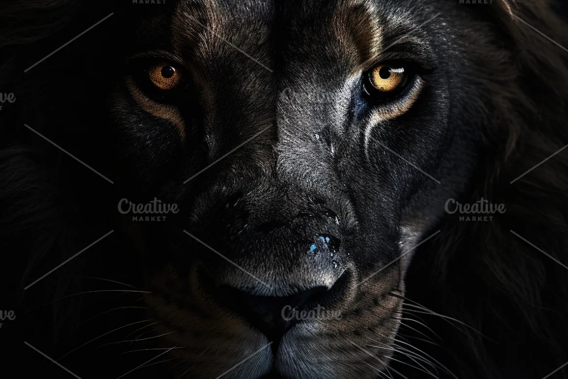 Animals Pack Over 350 UltraHD images