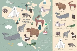 Animals World Map2