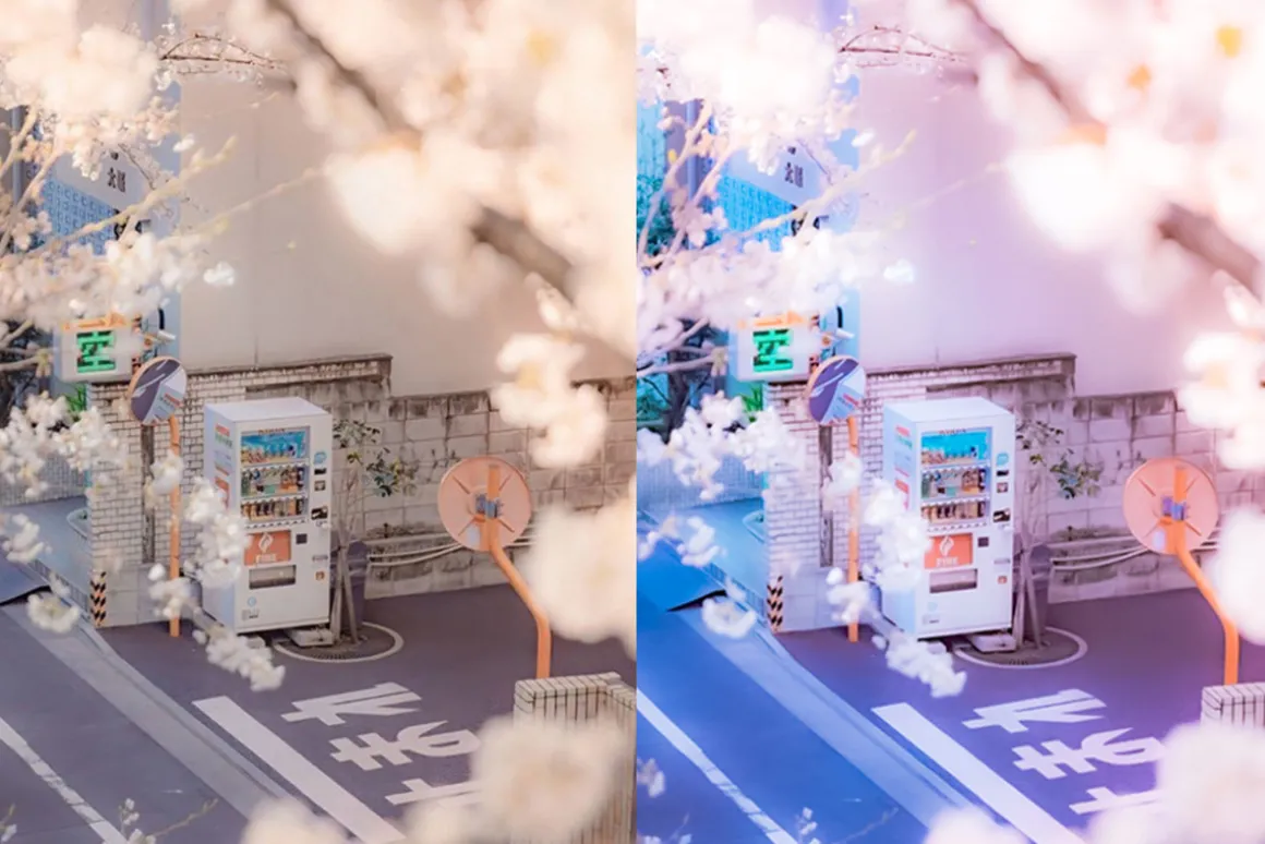 ANIME LOVE - Lightroom Presets