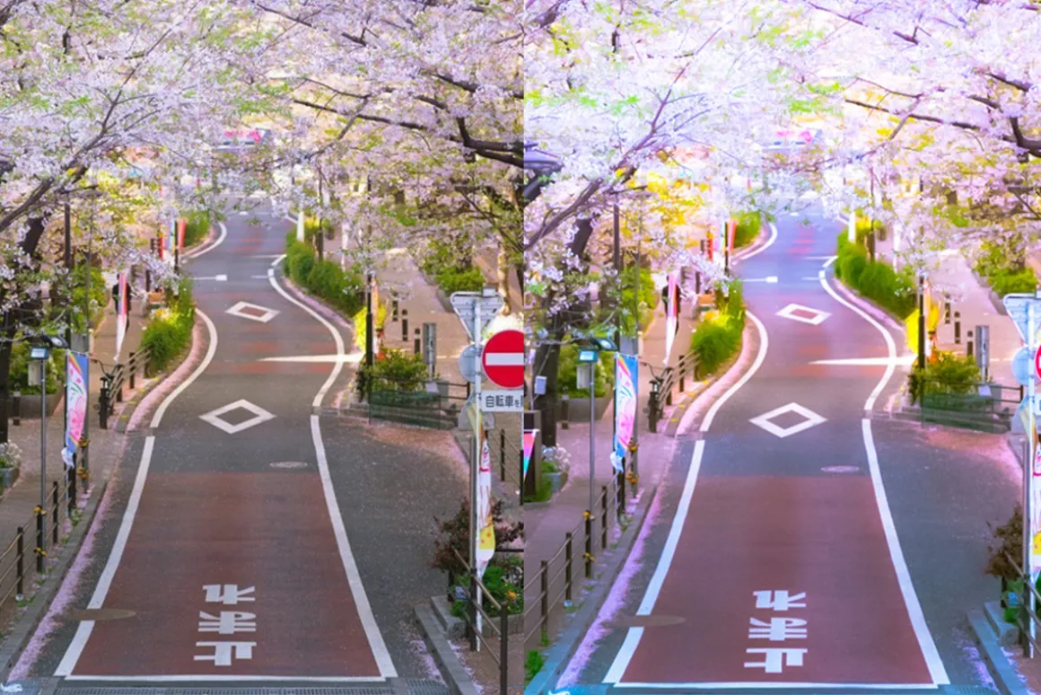 ANIME LOVE - Lightroom Presets