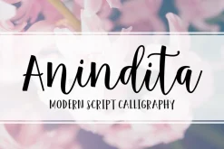 Anindita Script