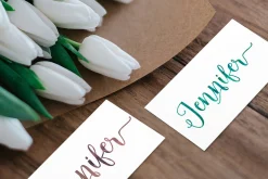 Anindita Script