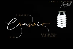 Anjel // Classy Signature Font