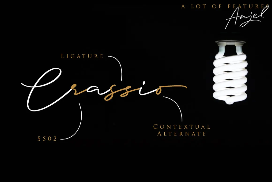 Anjel // Classy Signature Font