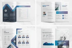 Annual Report | Ms Word & InDesign