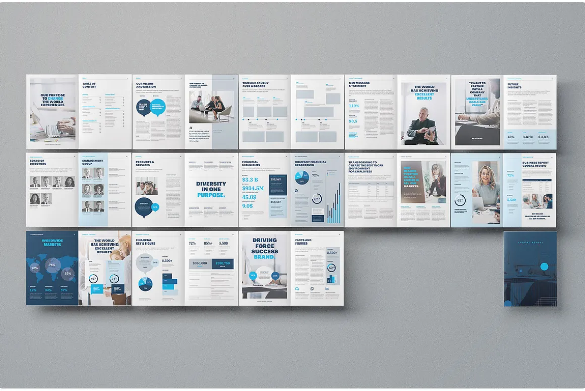 Annual Report