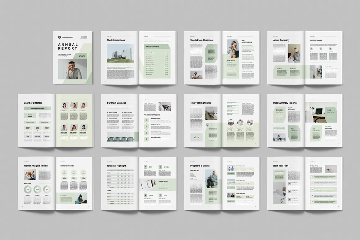Annual Report | MS Word & Indesign