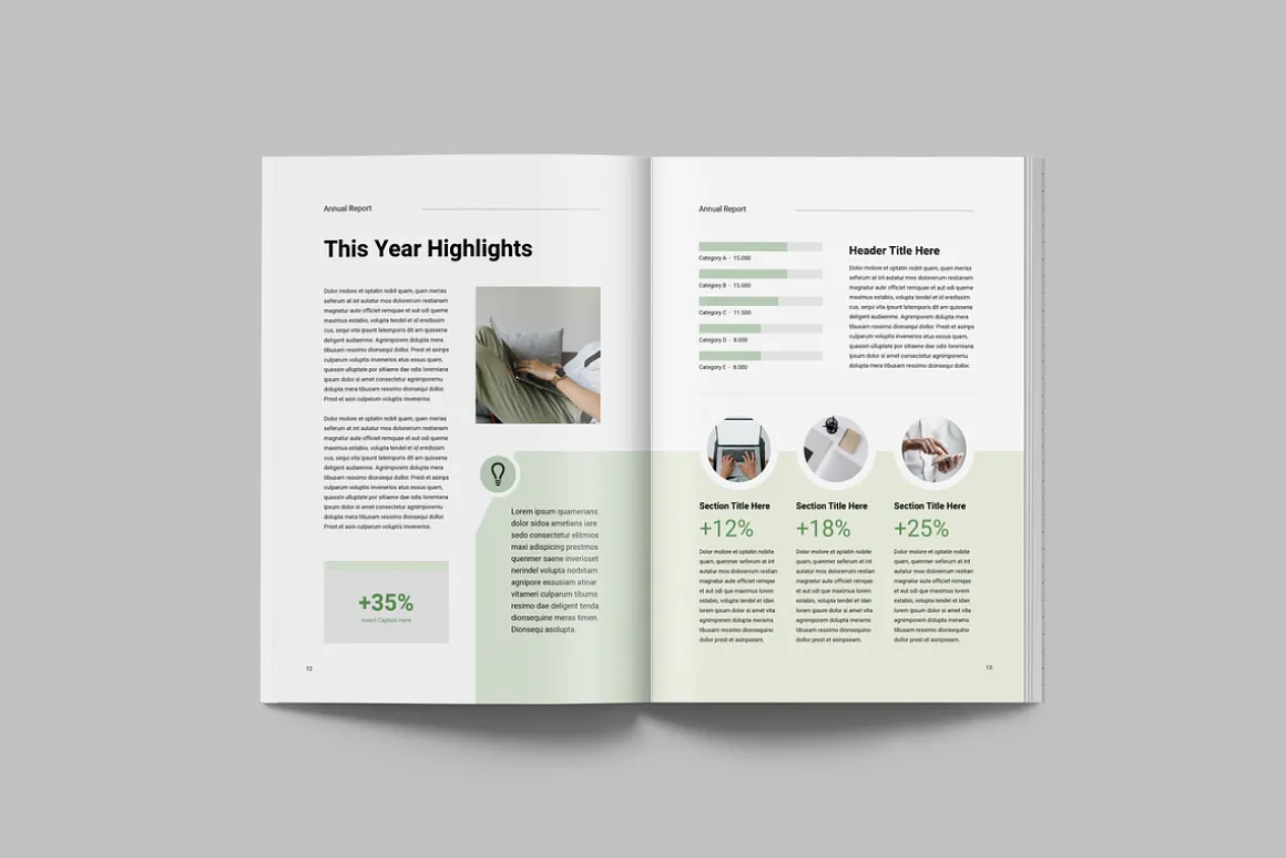 Annual Report | MS Word & Indesign