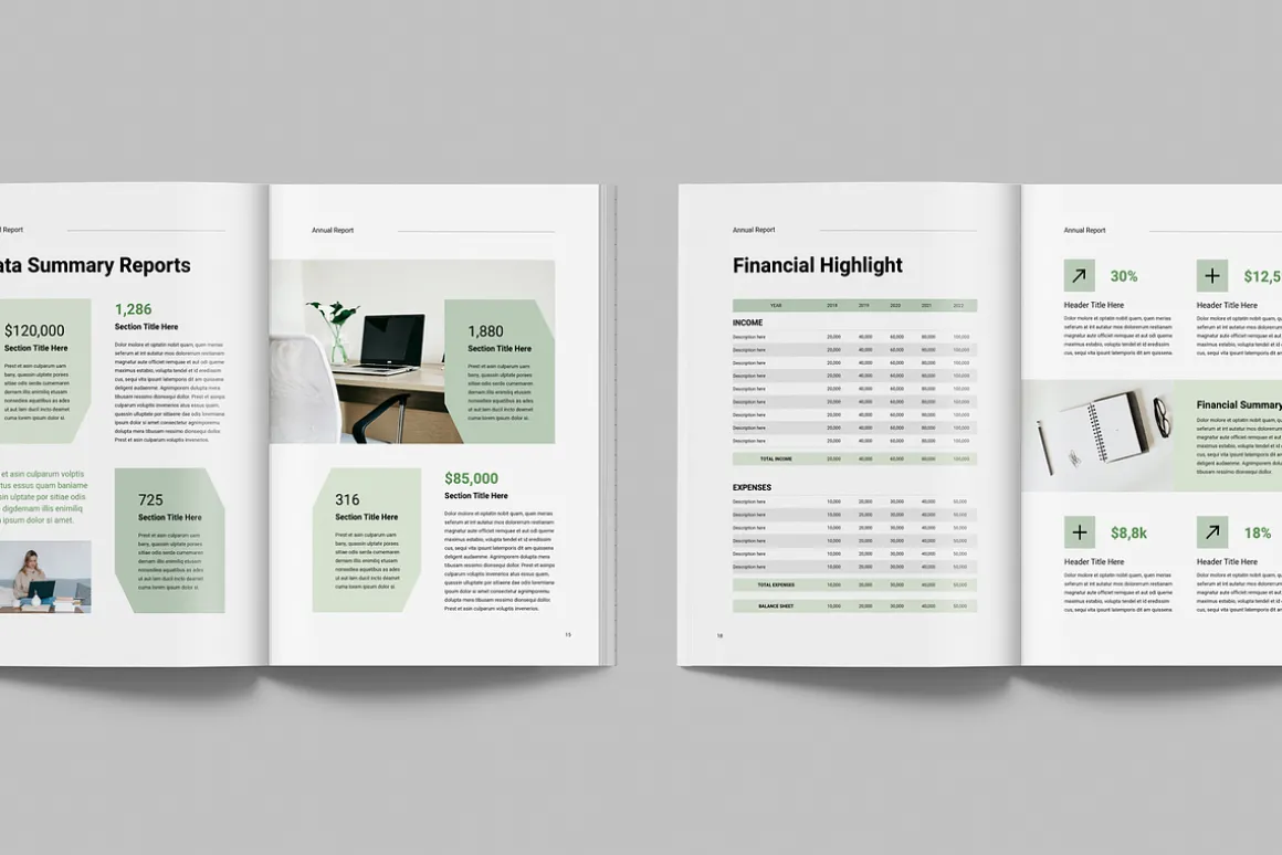 Annual Report | MS Word & Indesign