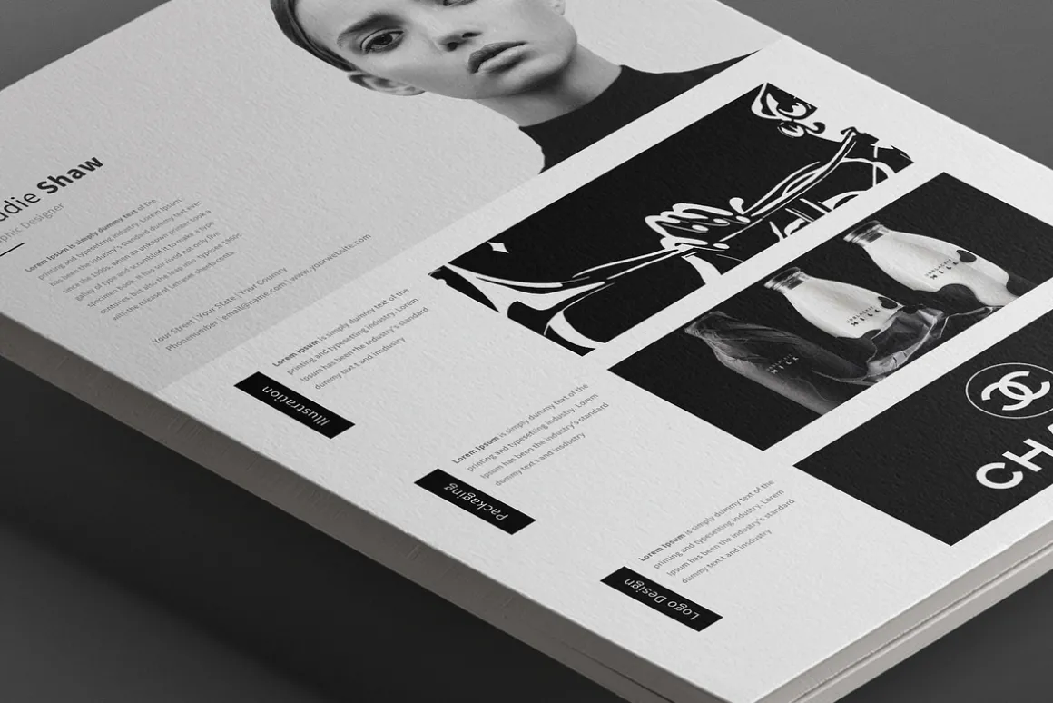 Antares Resume Template