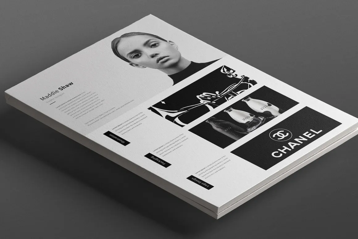 Antares Resume Template
