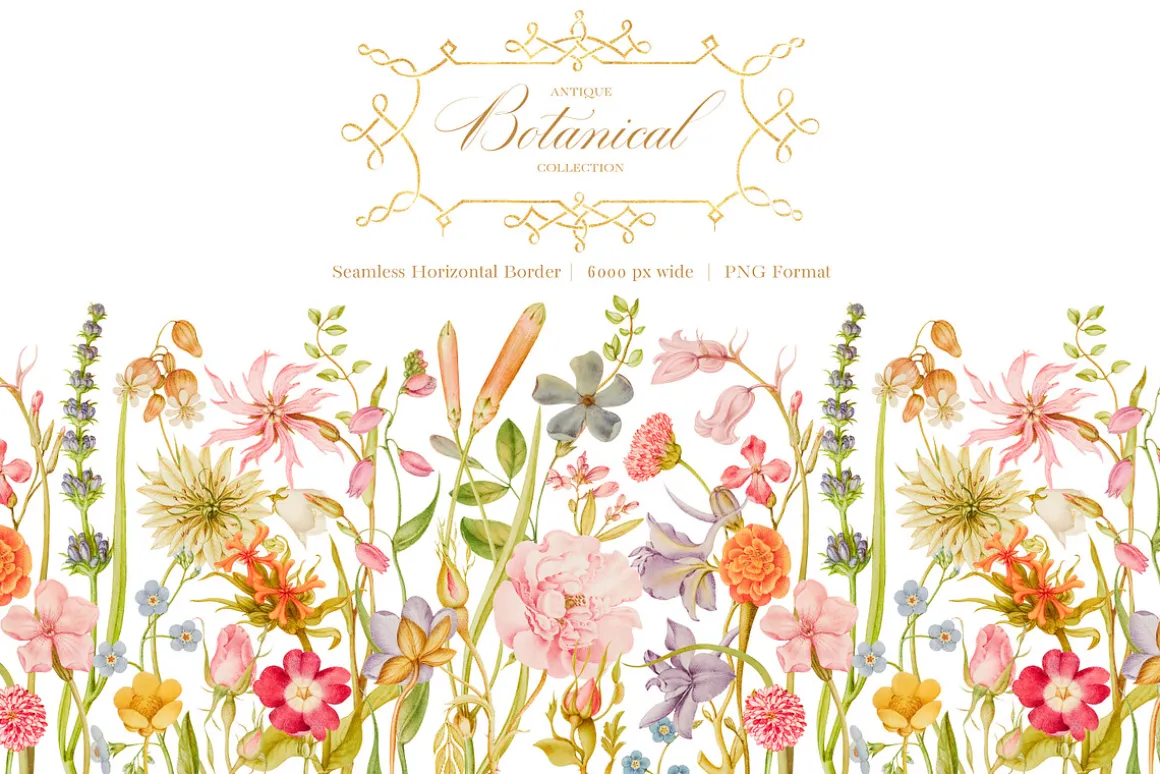 Antique Botanical Floral Collection