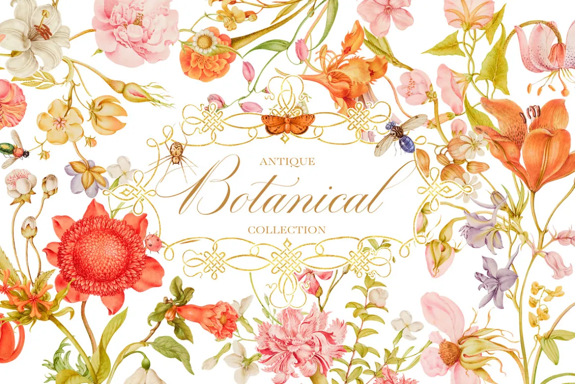 Antique Botanical Floral Collection