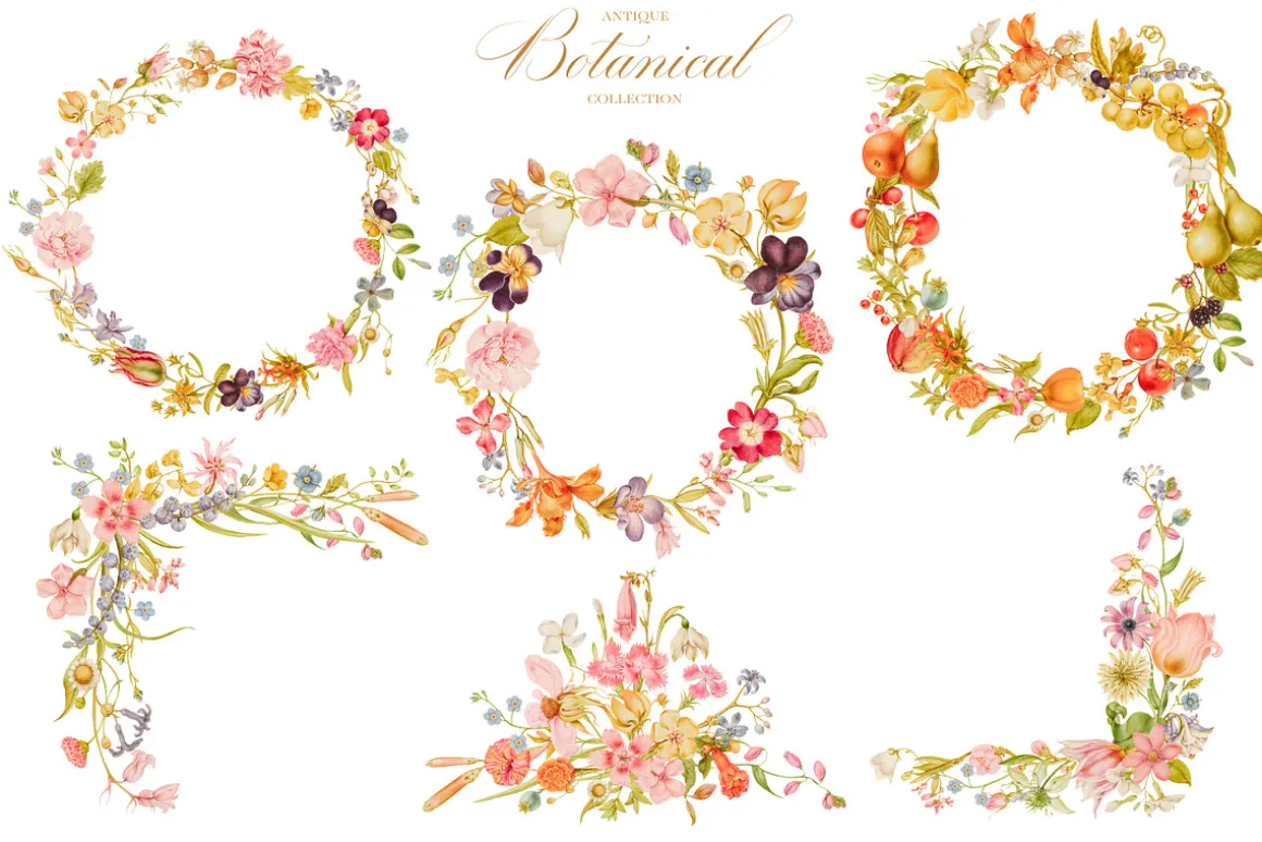 Antique Botanical Floral Collection