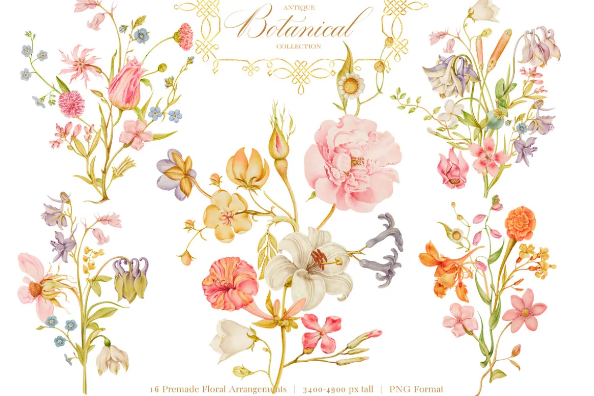 Antique Botanical Floral Collection