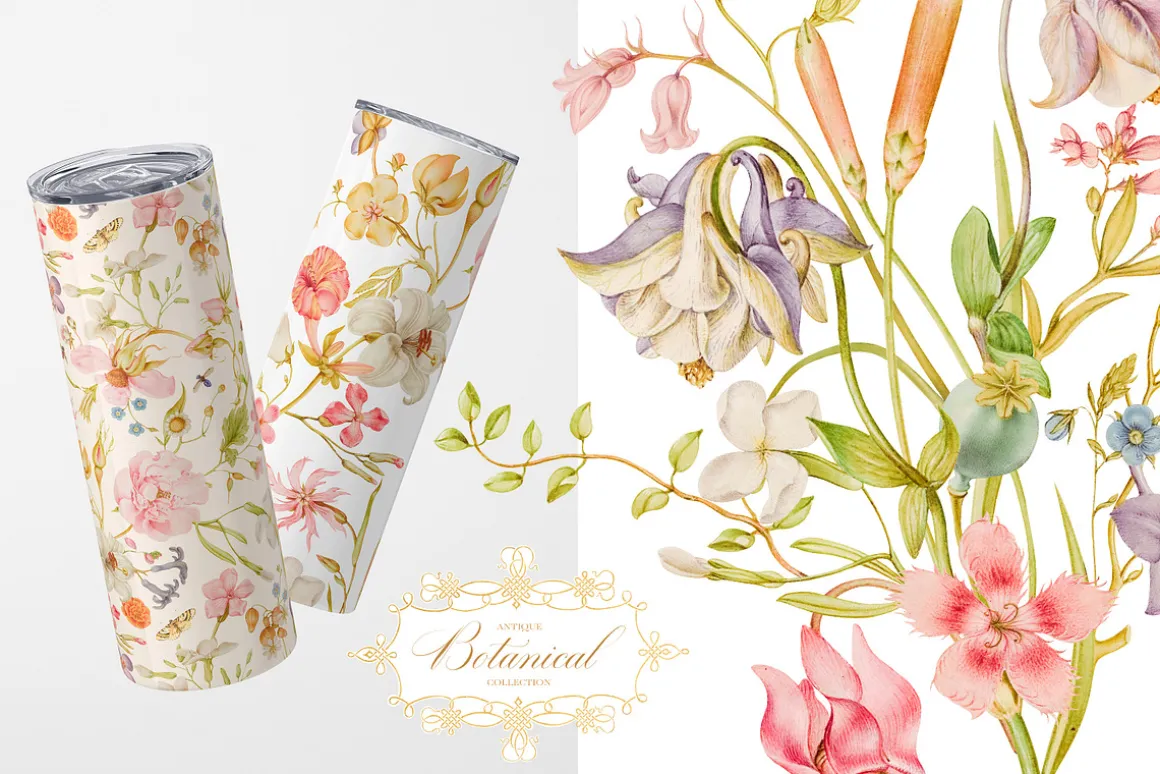 Antique Botanical Floral Collection