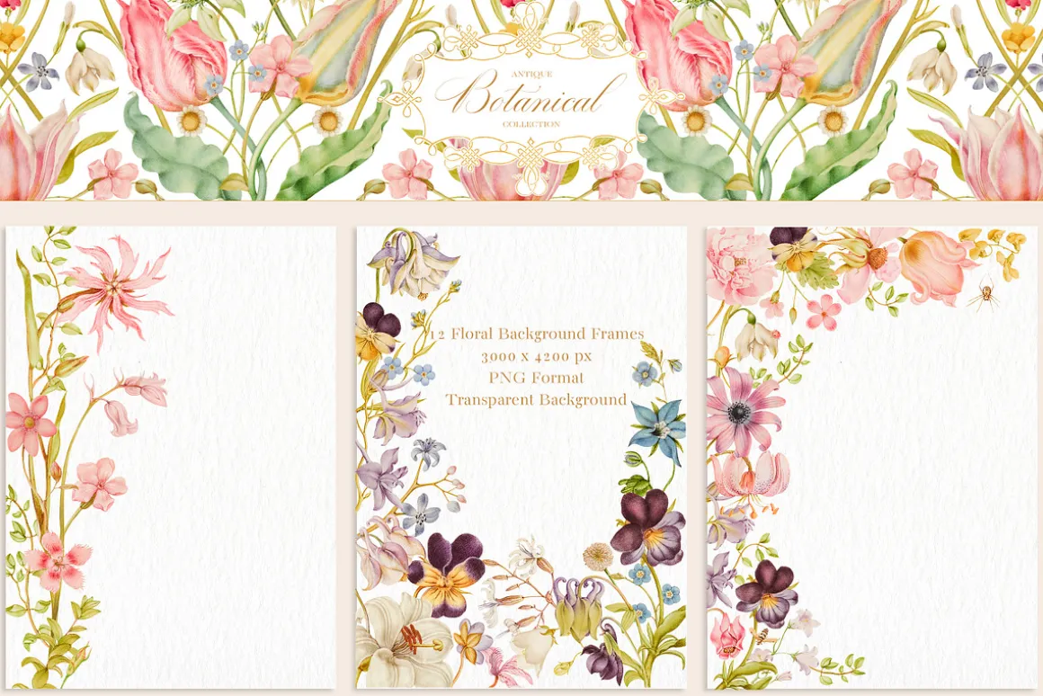 Antique Botanical Floral Collection