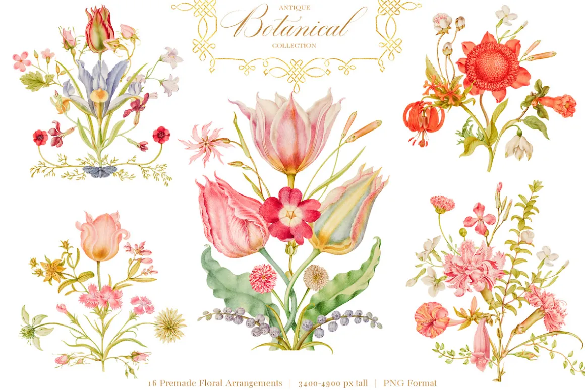 Antique Botanical Floral Collection