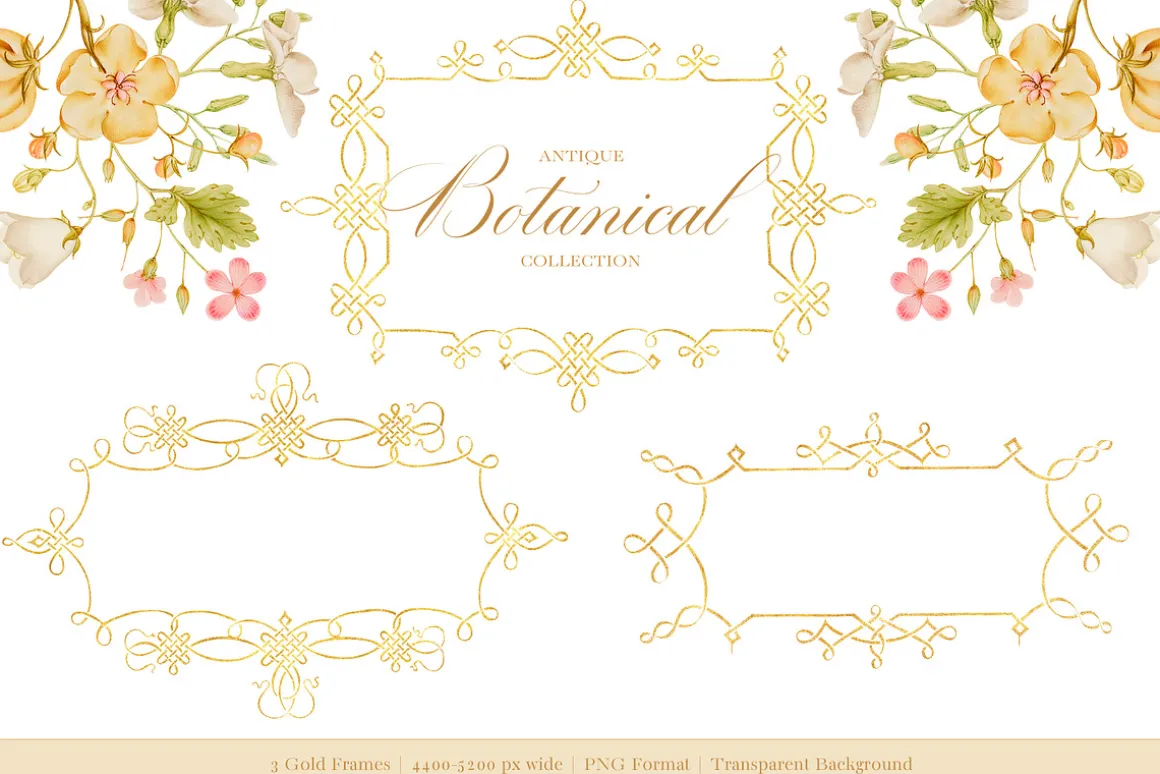 Antique Botanical Floral Collection