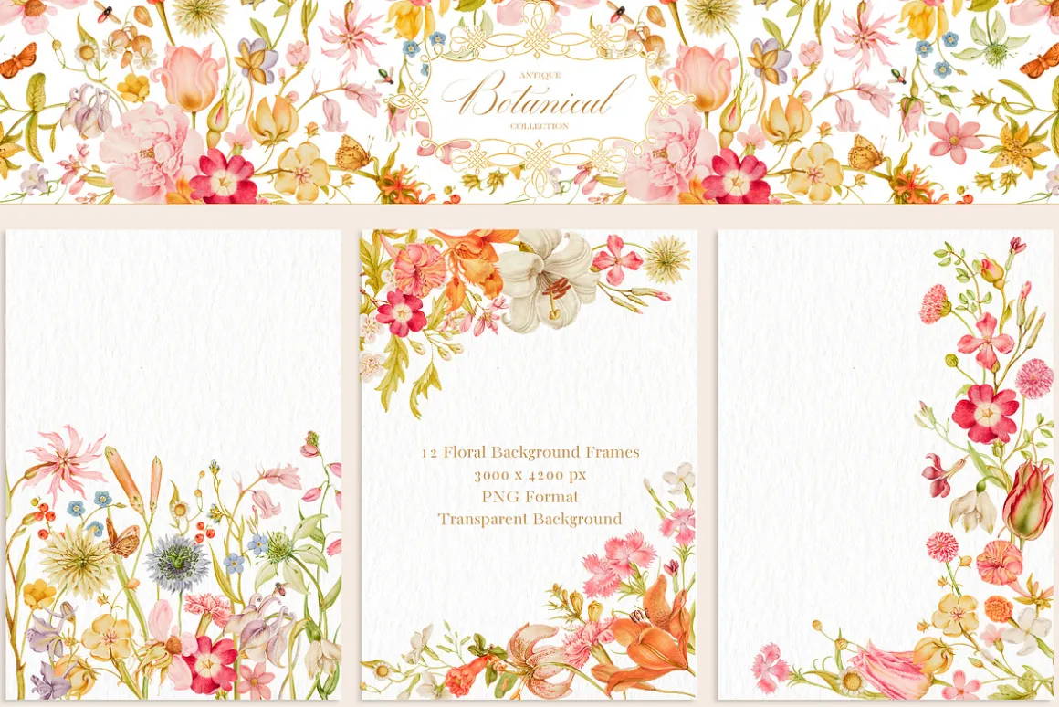 Antique Botanical Floral Collection