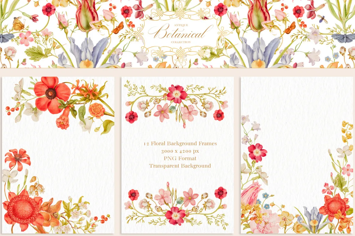 Antique Botanical Floral Collection