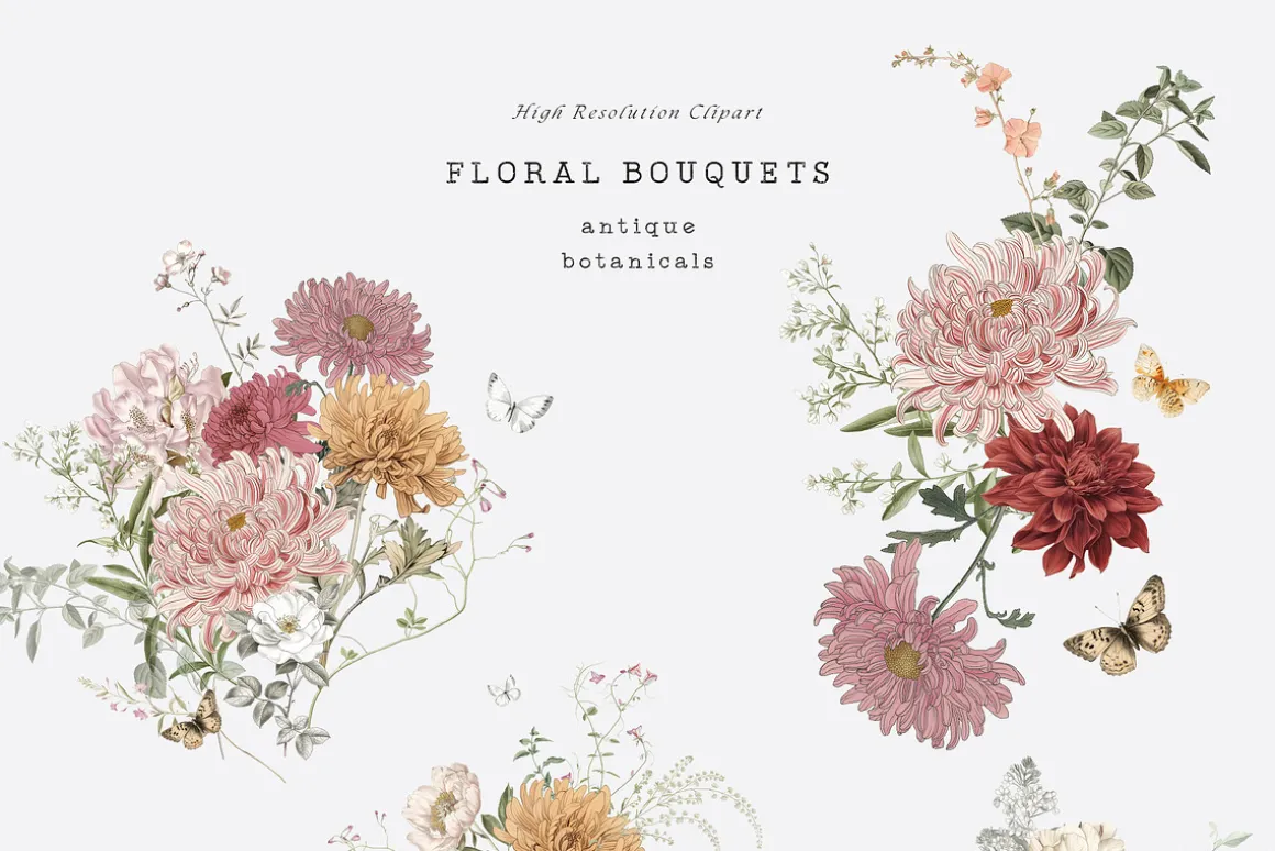 ANTIQUE BOTANICALS Vintage Flowers