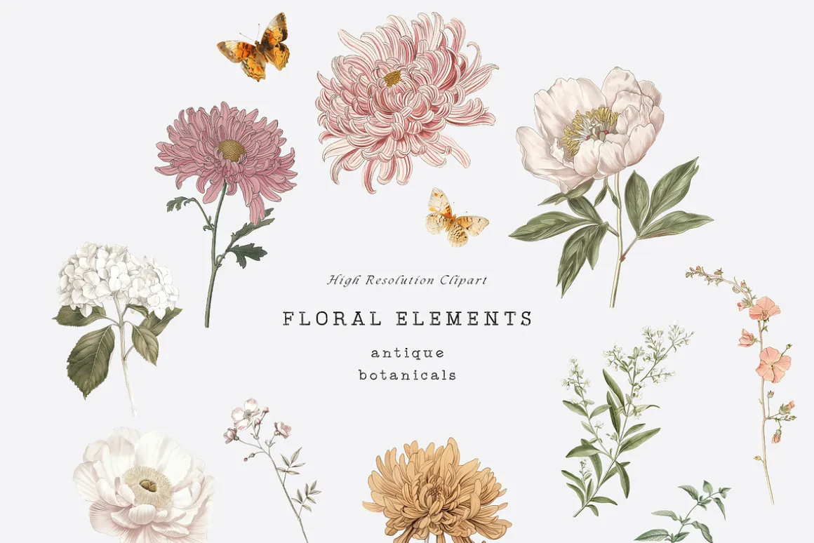 ANTIQUE BOTANICALS Vintage Flowers