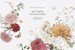 ANTIQUE BOTANICALS Vintage Flowers