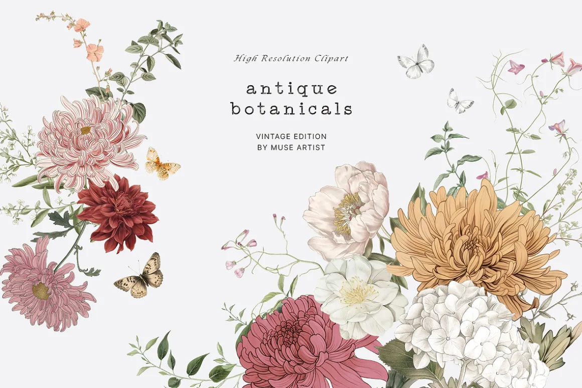ANTIQUE BOTANICALS Vintage Flowers