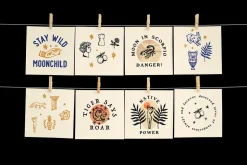 Antique Bundle