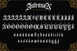 Antraxen for Tattoo & Liquor Brand