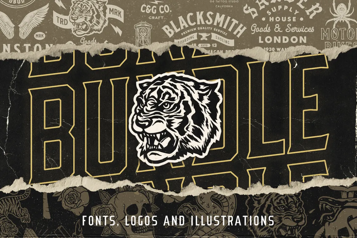 Apparel Designs Bundle