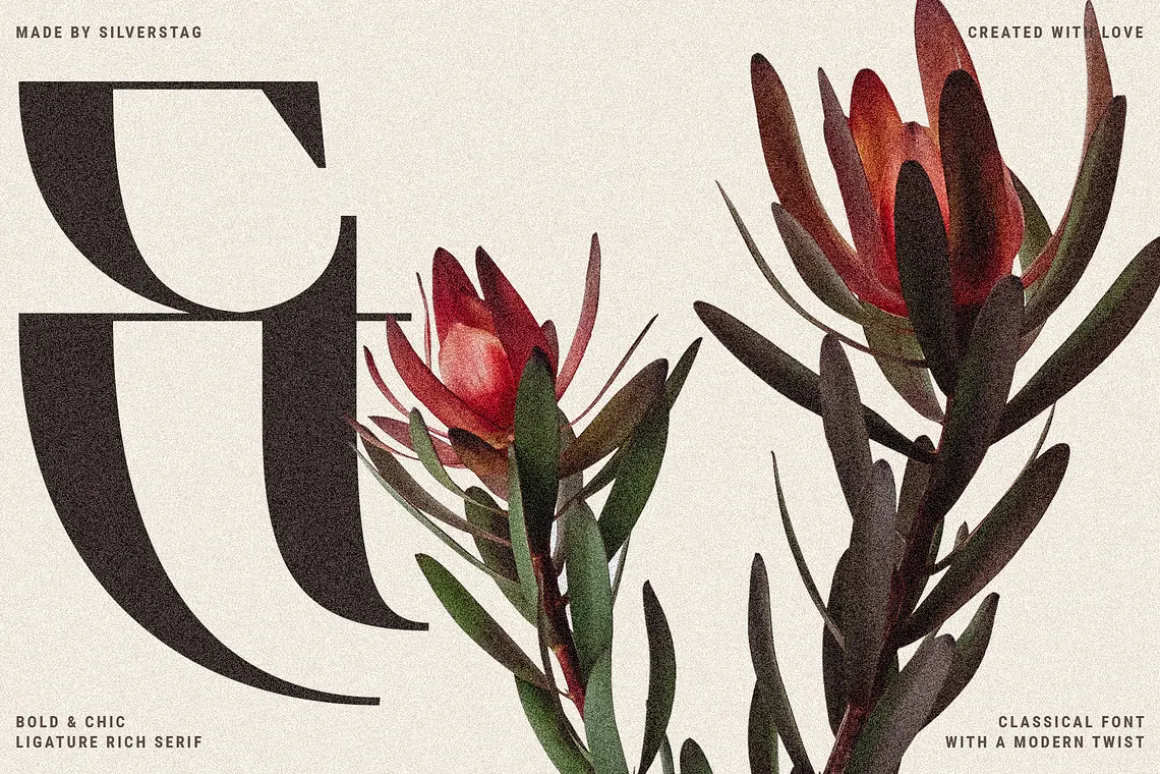 Archer Display - Ligature Serif Font