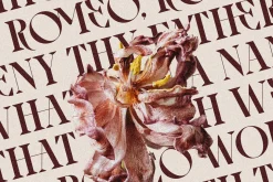 Archer Display - Ligature Serif Font