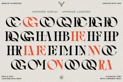 Archer Display - Ligature Serif Font