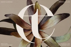 Archer Display - Ligature Serif Font