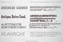 40 Archive Fonts Collection