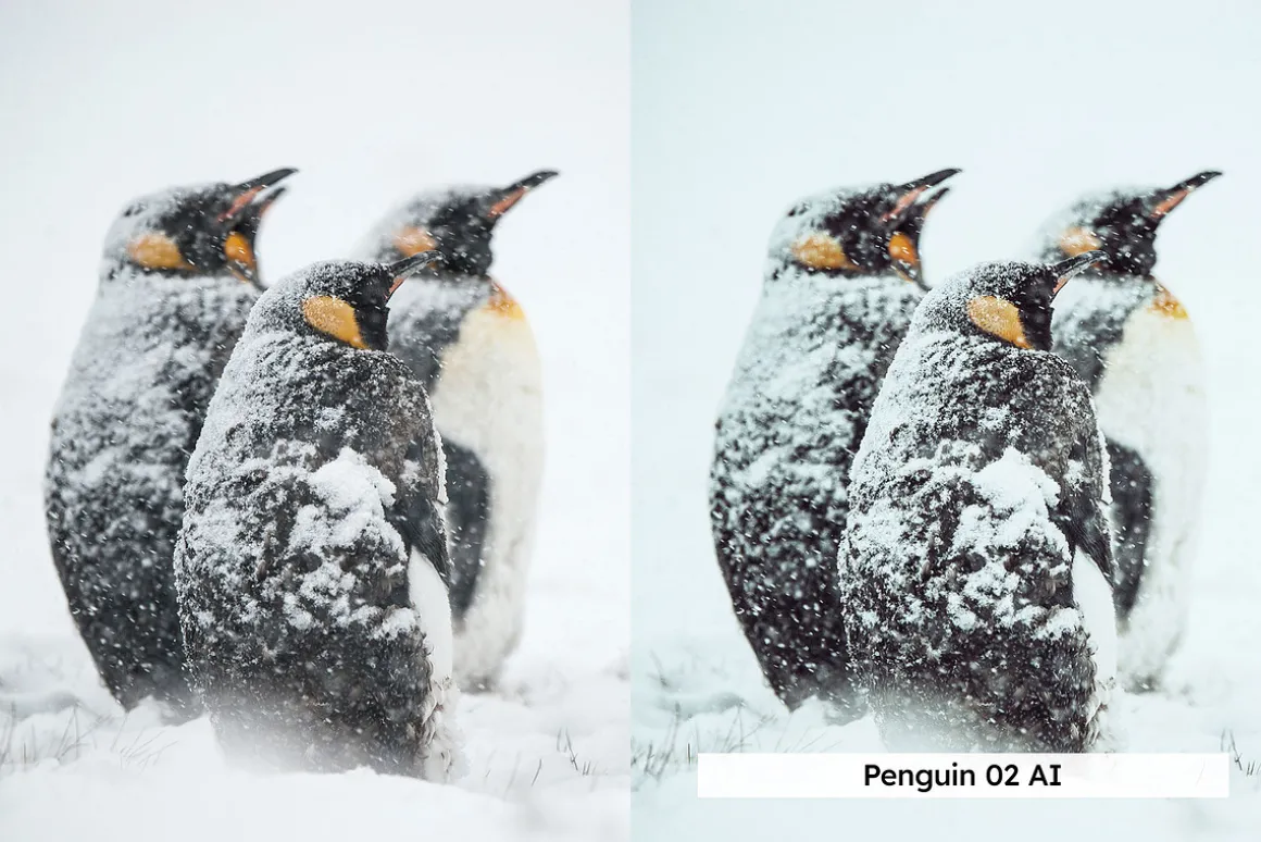 20 Arctic Lightroom Presets LUTs